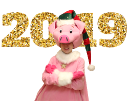 Аниматор Новогодняя свинья поросенок фото